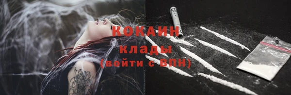 ешки Новокубанск