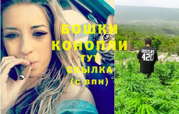 ешки Новокубанск