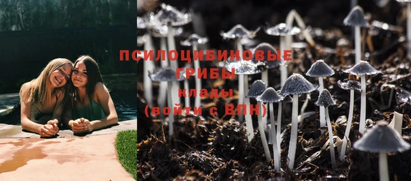 mdpv Новозыбков