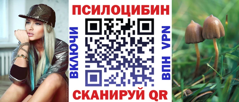 наркота  Яранск  Галлюциногенные грибы Psilocybine cubensis 